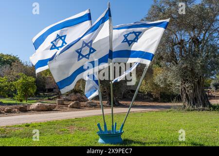 Mehrere israelische Flaggen winken in einem Kibbuz im Wind, umgeben von üppigem Grün und historischen Olivenbäumen. Diese ruhige Parkszene verkörpert den Geist und die Traditionen israelischer Siedlungen. Stockfoto