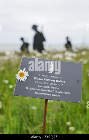 Normandie, Frankreich. Juni 2024. Die Statuen der Statuen der Gedenkstätte Standing with Giants befinden sich inmitten tausender Wildblumen in Vorbereitung auf die Zeremonie zum 80. Jahrestag des D Day, die am Donnerstag, den 6. Juni stattfinden soll. Mit dem Titel „for Your Tomorrow“ beträgt die Gesamtzahl der Statuen 1475 mit einem geneigten Kopf, der einen verlorenen Soldaten am DDay darstellt. Am Donnerstag werden viele Staatsoberhäupter, Veteranen und Beamte empfangen, die den 80. Jahrestag der Landungen des D-Day und der Schlacht in der Normandie gedenken werden. Credit: Casper Farrell/Alamy News Credit: Casper Farrell Photography/Alamy Stockfoto