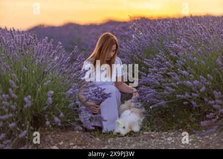 Eine Frau sitzt auf einem Feld aus Lavendelblumen mit einem Hund an ihrer Seite Stockfoto