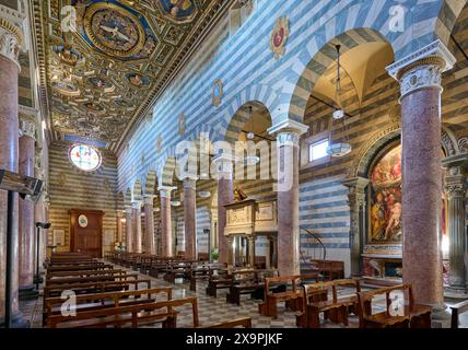 Innenaufnahme mit Decke der Kathedrale von Volterra, gewidmet der Himmelfahrt der Jungfrau, Cattedrale di Santa Maria Assunta, Volterra, Toskana Stockfoto