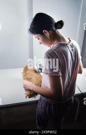 Ein junger Hundefriseur kämmt einen kleinen Terrierhund mit einer Bürste, bevor er ihm in einem Hundesalon einen Haarschnitt gibt Stockfoto