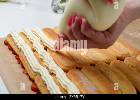 Bedecken Sie die Reihen der Savoiardi-Kekse mit Schlagsahne und Mascarponenkäse. Bereiten Sie den Tiramisu-Kuchen zu Hause zu. Stockfoto