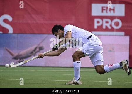 Antwerpen, Belgien. Juni 2024. Der Belgier Alexander Hendrickx wurde während eines Eishockeyspiels zwischen der belgischen Nationalmannschaft Red Lions und Australien in 12/16 der Gruppenphase der FIH Pro League 2024 am Sonntag, den 2. Juni 2024, in Antwerpen gezeigt. BELGA FOTO DIRK WAEM Credit: Belga News Agency/Alamy Live News Stockfoto
