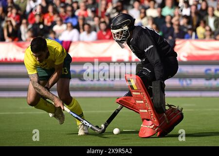 Antwerpen, Belgien. Juni 2024. Belgischer Torhüter Vincent Vanasch, der in Aktion während eines Eishockeyspiels zwischen der belgischen Nationalmannschaft Red Lions und Australien, Spiel 12/16 in der Gruppenphase der FIH Pro League 2024, am Sonntag, den 2. Juni 2024, in Antwerpen zu sehen war. BELGA FOTO DIRK WAEM Credit: Belga News Agency/Alamy Live News Stockfoto