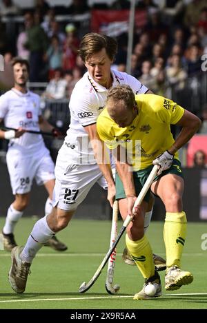 Antwerpen, Belgien. Juni 2024. Der belgische Tom Boon kämpft um den Ball während eines Hockeyspiels zwischen der belgischen Nationalmannschaft Red Lions und Australien, Match 12/16 in der Gruppenphase der FIH Pro League 2024, Sonntag, den 2. Juni 2024, in Antwerpen. BELGA FOTO DIRK WAEM Credit: Belga News Agency/Alamy Live News Stockfoto