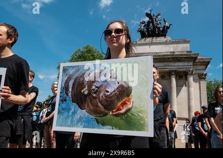London, Großbritannien. 2. Juni 2024. Tierschutzaktivisten treffen sich zum Nationalen Tierschutztag (NARD), um der Milliarden von Tieren zu gedenken, die jedes Jahr durch menschliche Hände sterben. Die Aktivisten stehen neben Wellington Arch und halten Plakate mit Fotos von Tieren. Anrede: Andrea Domeniconi/Alamy Live News Stockfoto