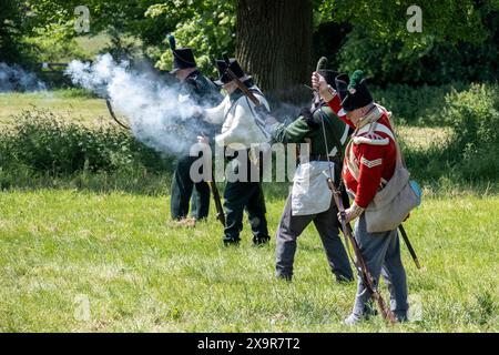 Chalfont, Großbritannien. 2. Juni 2024. Eine Demonstration der Artillerie als Wiederendarsteller nimmt am Napoleonischen Wochenende der Living History im Chiltern Open Air Museum (COAM) Teil. Rund 100 Reenactor der Napoleonic Association erwecken die Militärlager von Wellington, Blucher und Napoleons Armeen zum Leben. COAM erzählt die Geschichte der Chilterns Area durch die Erhaltung historischer Gebäude, Landschaften und Kultur. Quelle: Stephen Chung / Alamy Live News Stockfoto