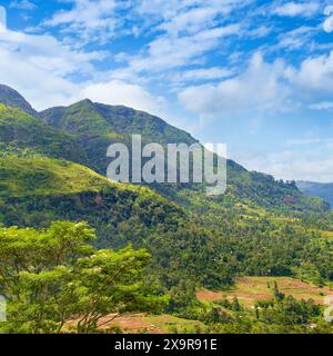 Hügelige Landschaft Sri Lankas mit Dörfern und Teeplantagen in der Nähe von Ella. Stockfoto