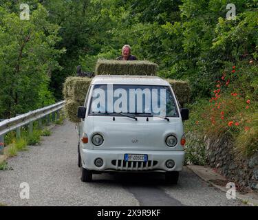 Man sitzt auf Heuballen auf einem Van, der auf einer Landstraße in der Nähe von NUS im Aostatal, NW Italien, gefahren wird. Juni 2024 Stockfoto