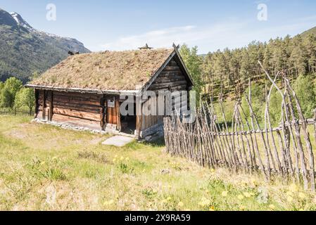 Das Nordfjord Museum of Cultural History verfügt über eine Reihe erhaltener hölzerner Objekte aus einer anderen Zeit, von denen viele über Grasdächer verfügen. Stockfoto