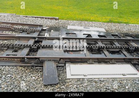 Nahaufnahme von Schienen und Zahnradschienen der Zahnradbahn Vitznau-Rigi Kulm, Schweiz Stockfoto