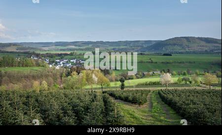 Weiße Häuser im Dorf bei schmallenberg im Frühjahr und die umliegende Landschaft des Sauerlandes in Deutschland Stockfoto