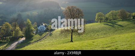 Frischblättrige Bäume und Felder in der Nähe des Dorfes in der wunderschönen sauerland-Landschaft im Frühling in deutschland Stockfoto