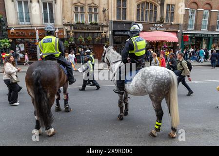 Mount Metropolitan Police & Walking Officers in Whitehall bereiteten sich auf einen Protest vor, der von Tommy Robinson in London gegen die zweistufige Polizeiarbeit geführt wurde Stockfoto