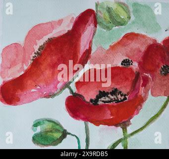 Aquarell. Naif Anustration mit Blumenstrauß von Mohn und Knospen Stockfoto