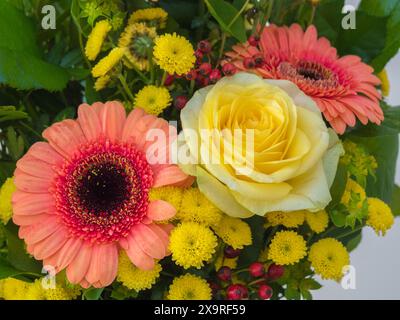 Ein Blumenstrauß mit lebhaften Farben und verschiedenen Arten. Der Blumenstrauß umfasst rosa Gerberas mit dunklen Zentren, gelbe Rosen und kleinere gelbe Strömungen Stockfoto