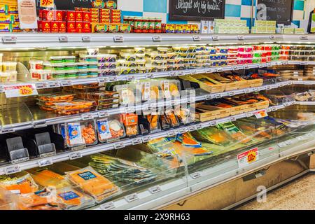 Nahaufnahme des Fischabschnitts mit Kühlregalen im Kühlschrank am Supermarkt. Stockfoto