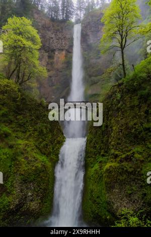 Wunderschöne Multnomah Falls in der Columbia River Gorge in der Nähe von Portland, Oregon, USA Stockfoto