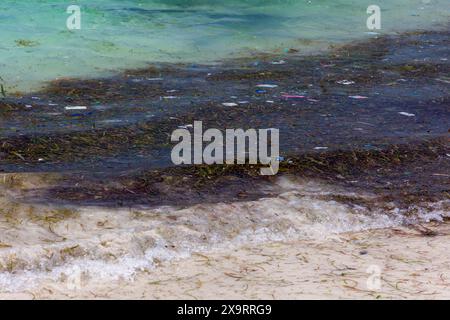 Plastiktüten und andere Müll, die an der Küste von Tanjung aan Beach auf der Insel Lombok schwimmen Stockfoto