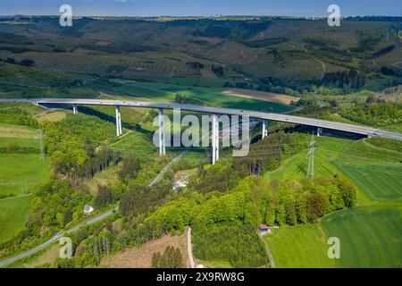 Luftaufnahme, Autobahn A 46 Talbrücke Nuttlar, Waldfläche mit Waldschäden, Nuttlar, Bestwig, Sauerland, Nordrhein-Westfalen, Deutschland, Luftfahrt Stockfoto