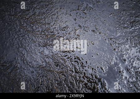 Natürliche Formationen und vielfältige Meeresbodensedimente mit Algen, die auf dem Wasser schwimmen Stockfoto