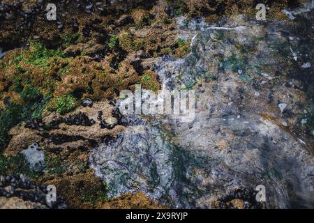 Natürliche Formationen und verschiedene Meeresbodensedimente, die während einer Flut entdeckt wurden. Stockfoto