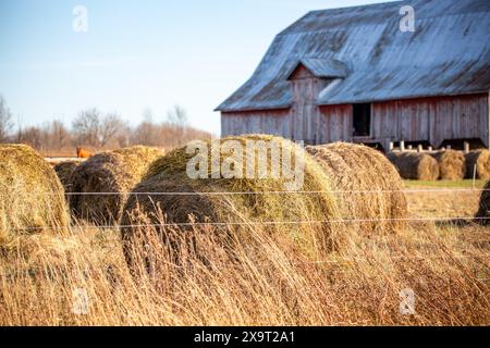 Nahaufnahme von runden Heuballen auf einer Farm in Wisconsin im November, horizontal Stockfoto