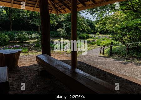 Meiji Jingu Inner Garden oder Meiji Gyoen existierten lange vor dem Meiji-Schrein selbst. Das Highlight des Gartens ist der Irisgarten, der in voller Blüte ist Stockfoto