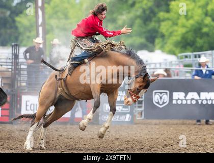 Brooklin, Kanada. Juni 2024. Ein Cowboy tritt am 2. Juni 2024 bei der RAM Rodeo Tour 2024 in Brooklin, Ontario, Kanada, an. Quelle: Zou Zheng/Xinhua/Alamy Live News Stockfoto