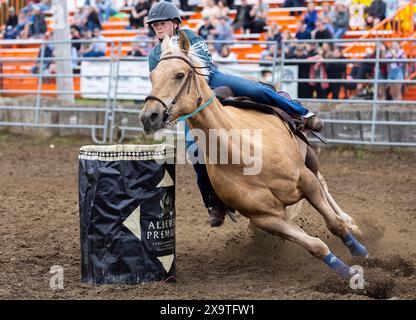 Brooklin, Kanada. Juni 2024. Ein Cowgirl tritt am 2. Juni 2024 bei der RAM Rodeo Tour 2024 in Brooklin, Ontario, Kanada, an. Quelle: Zou Zheng/Xinhua/Alamy Live News Stockfoto