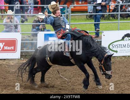 Brooklin, Kanada. Juni 2024. Ein Cowboy tritt am 2. Juni 2024 bei der RAM Rodeo Tour 2024 in Brooklin, Ontario, Kanada, an. Quelle: Zou Zheng/Xinhua/Alamy Live News Stockfoto