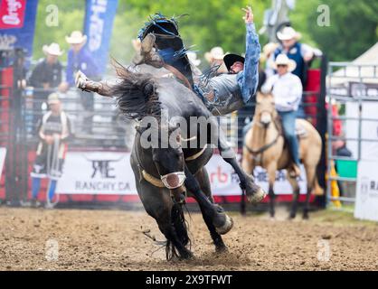 Brooklin, Kanada. Juni 2024. Ein Cowboy tritt am 2. Juni 2024 bei der RAM Rodeo Tour 2024 in Brooklin, Ontario, Kanada, an. Quelle: Zou Zheng/Xinhua/Alamy Live News Stockfoto