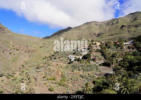 Bergdorf Masca, Masca Gorge, Montana Teno Mountains, Teneriffa, Kanarische Inseln, Spanien, Europa, Berglandschaft mit Villen und Grün Stockfoto