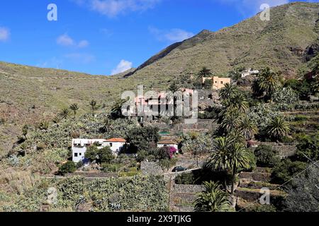 Bergdorf Masca, Masca Gorge, Montana Teno Mountains, Teneriffa, Kanarische Inseln, Spanien, Europa, hügelige Landschaft mit verstreuten Häusern, üppig Stockfoto