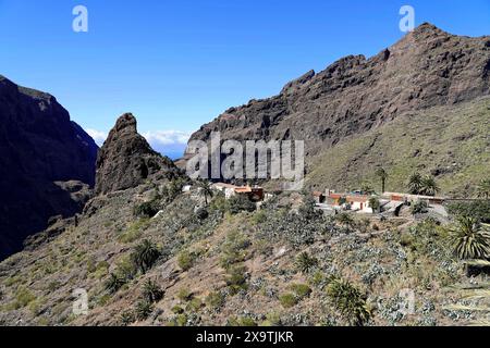 Bergdorf Masca, Masca Gorge, Montana Teno Mountains, Teneriffa, Kanarische Inseln, Spanien, Europa, Ein kleines Dorf an den Hängen der Berge Stockfoto