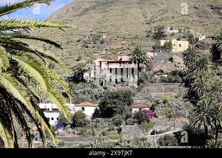 Bergdorf Masca, Masca Gorge, Montana Teno Mountains, Teneriffa, Kanarische Inseln, Spanien, Europa, Bergdorf mit Häusern und üppig Stockfoto