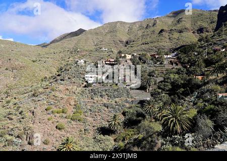 Bergdorf Masca, Masca Gorge, Montana Teno Mountains, Teneriffa, Kanarische Inseln, Spanien, Europa, Hügel, steile Landschaft mit trockener Vegetation und Stockfoto