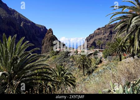 Bergdorf Masca, Masca Gorge, Montana Teno Mountains, Teneriffa, Kanarische Inseln, Spanien, Europa, Ein kleines Dorf umgeben von Bergen und Stockfoto