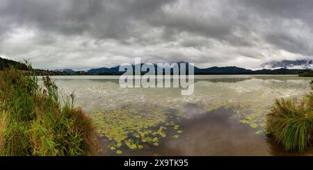 Hopfensee, bei Füssen, Ostallgaeu, Allgaeu, Bayern, Deutschland Stockfoto