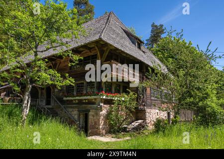 Traditionell gebautes, altes Schwarzwaldhaus Haldenhof, erbaut um 1669, ursprünglicher Standort: Schönach im Schwarzwald, Freilichtmuseum Neuhausen Stockfoto