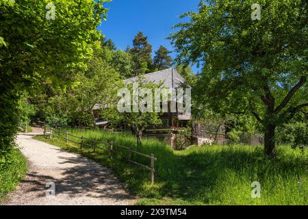 Traditionell gebautes, altes Schwarzwaldhaus Haldenhof, erbaut um 1669, ursprünglicher Standort: Schönach im Schwarzwald, Freilichtmuseum Neuhausen Stockfoto