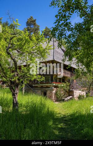 Traditionell gebautes, altes Schwarzwaldhaus Haldenhof, erbaut um 1669, ursprünglicher Standort: Schönach im Schwarzwald, Freilichtmuseum Neuhausen Stockfoto