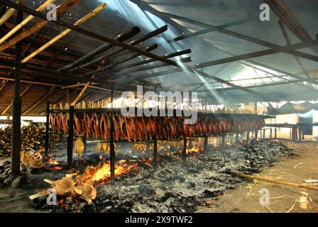 Blick auf eine Werkstatt zur Herstellung von geräuchertem Fisch, in der Bonito-Thunfischfleisch in einer Heimindustrie in Bitung, Nord-Sulawesi, Indonesien, verwendet wird. Stockfoto