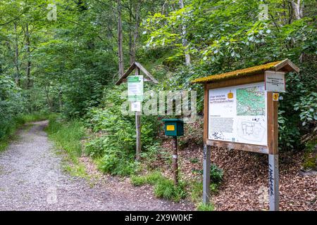 Wandern Sie um Blankenburg Harz Stockfoto