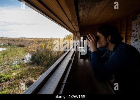 Vögel beobachten, Parc Natural S’Albufera de Mallorca, Mallorca, Balearen, Spanien Stockfoto