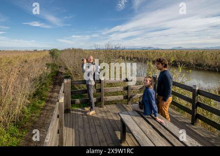 Vögel beobachten, Parc Natural S’Albufera de Mallorca, Mallorca, Balearen, Spanien Stockfoto