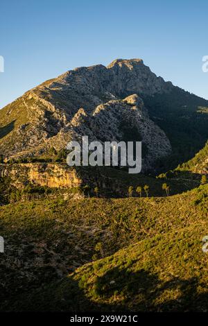 Puig de Galatzó, 1027 metros de altura, Sierra de Tramuntana, Mallorca, Balearen, Spanien Stockfoto