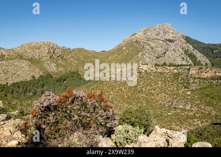 Puig de Galatzó, 1027 metros de altura, Sierra de Tramuntana, Mallorca, Balearen, Spanien Stockfoto