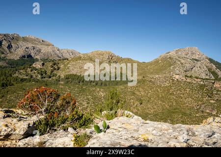 Puig de Galatzó, 1027 metros de altura, Sierra de Tramuntana, Mallorca, Balearen, Spanien Stockfoto