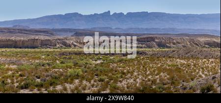 Panoramablick über die Landschaft des Big Bend Ranch State Park, Texas Stockfoto